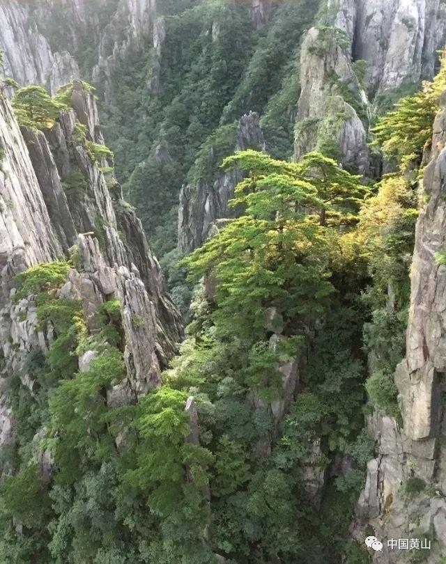 月光影视